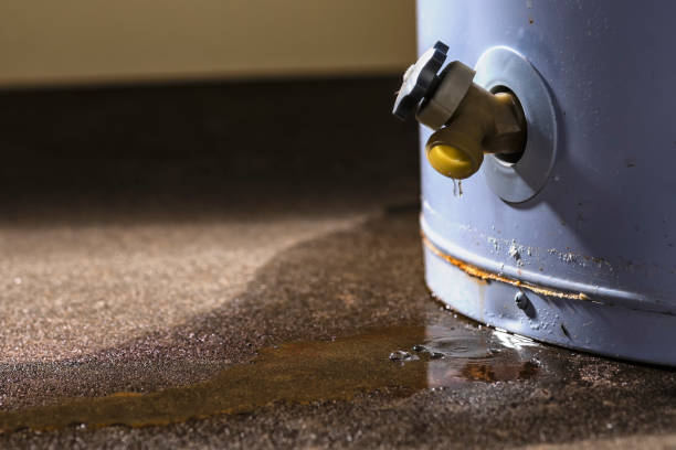 Best Basement water damage restoration  in West Milton, OH