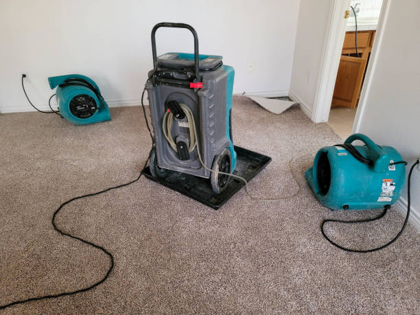 Trusted West Milton, OH Water damage restoration Experts