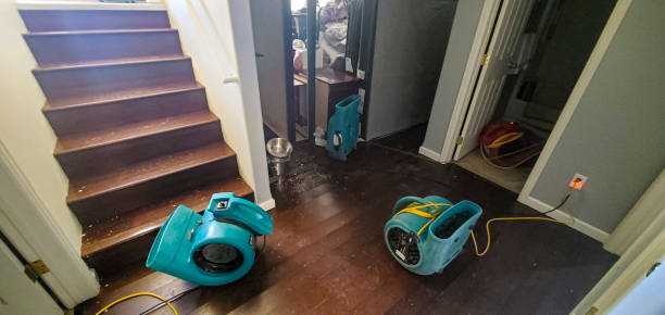 Best Local water damage restoration  in West Milton, OH