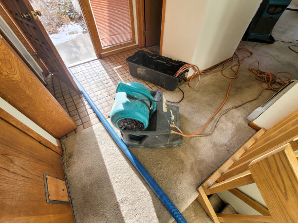 Best Water damage repair service  in West Milton, OH