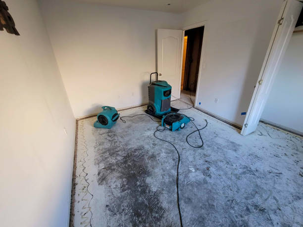 Best Sewage cleanup and water damage restoration  in West Milton, OH