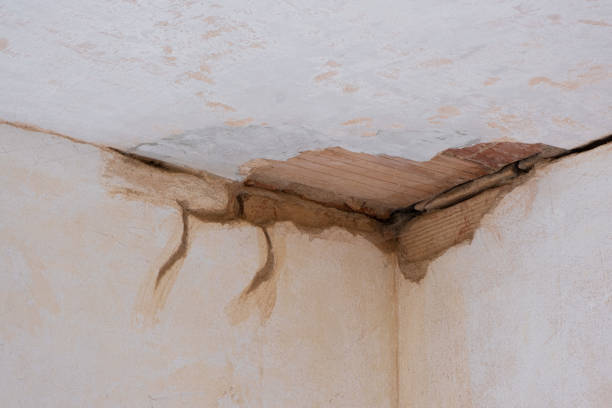  West Milton, OH Water damage restoration Pros