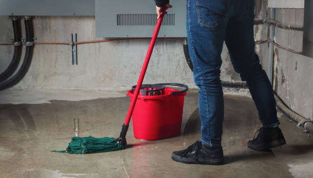 Best Fire Damage Restoration  in West Milton, OH