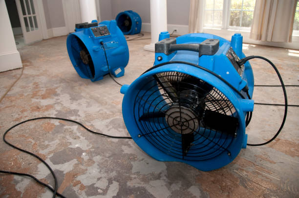 Carpet water damage restoration in West Milton, OH