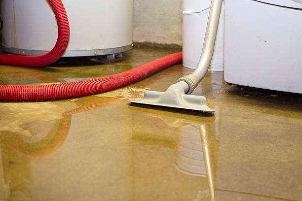 Best Water damage contractors near me  in West Milton, OH