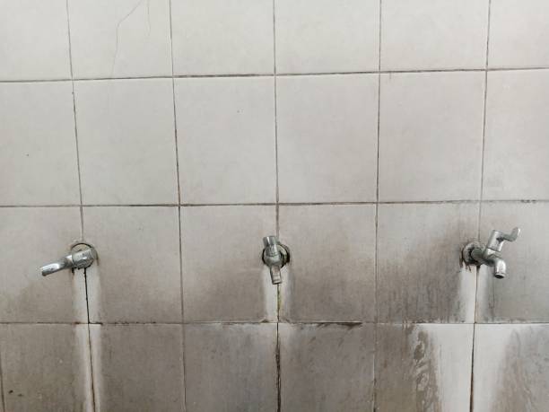 Best Mold removal after water damage  in West Milton, OH