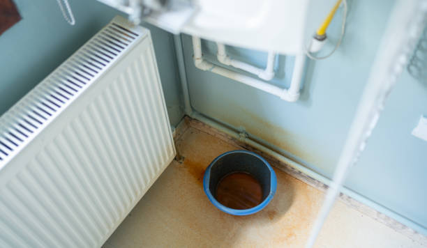Best Carpet water damage restoration  in West Milton, OH