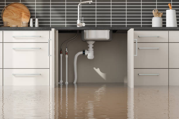 Best Flood damage cleanup  in West Milton, OH