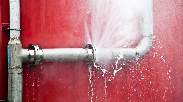 Best Water damage cleanup near me  in West Milton, OH