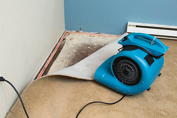 Best 24/7 water damage repair  in West Milton, OH